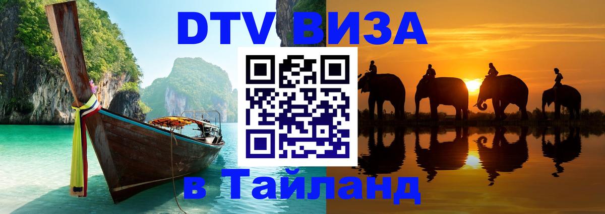 Оформление DTV визы под ключ: стоимость и тарифы, только загранпаспорт - 
